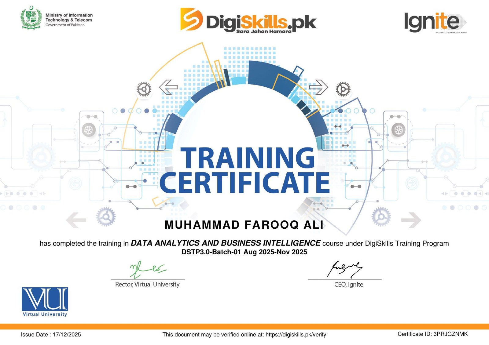 DigiSkills Data Analytics and Business Intelligence certificate